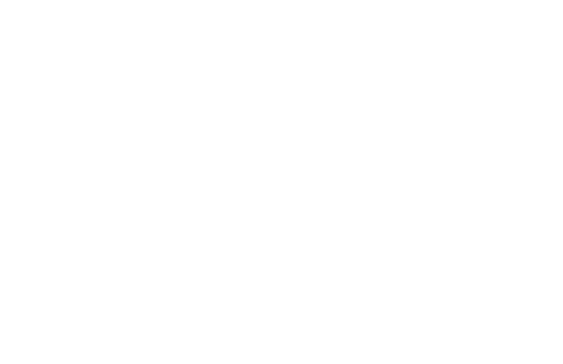Ply-Ever Corp